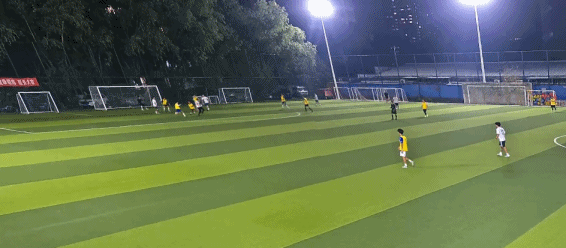 ff, 对方门将扑, img